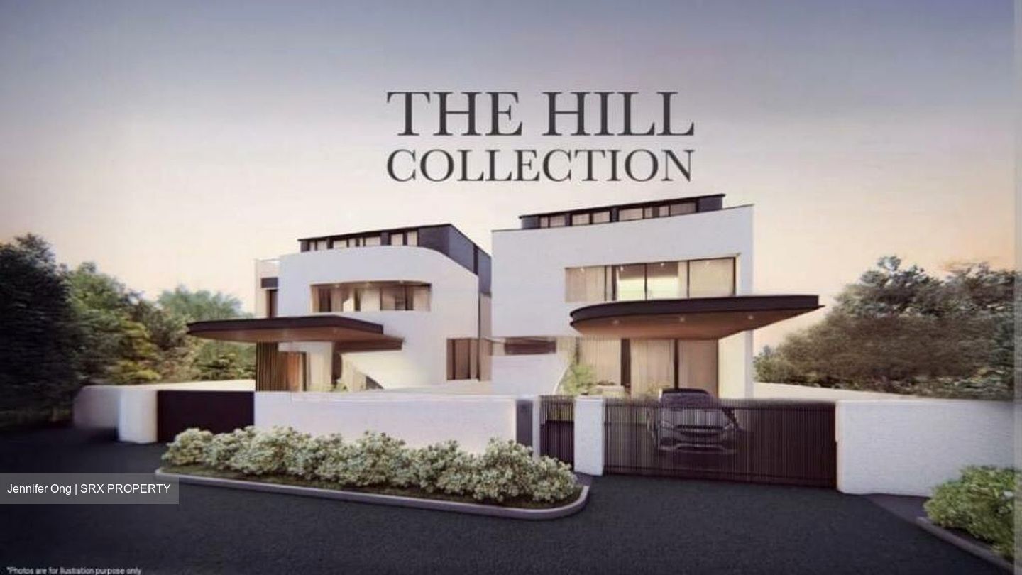 Braddell Heights Estate (D13), Detached #458574481